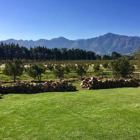 Olive Cottage Franschhoek Exterior foto