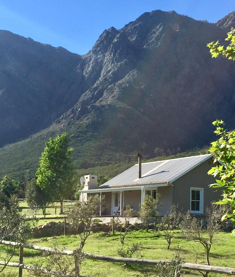 Olive Cottage Franschhoek Exterior foto