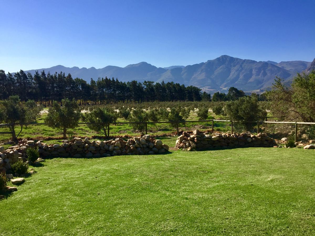 Olive Cottage Franschhoek Exterior foto
